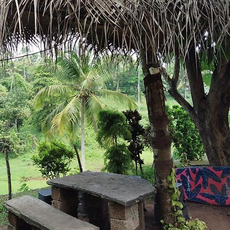 Joseph Dale Homestay Варкала Экстерьер фото