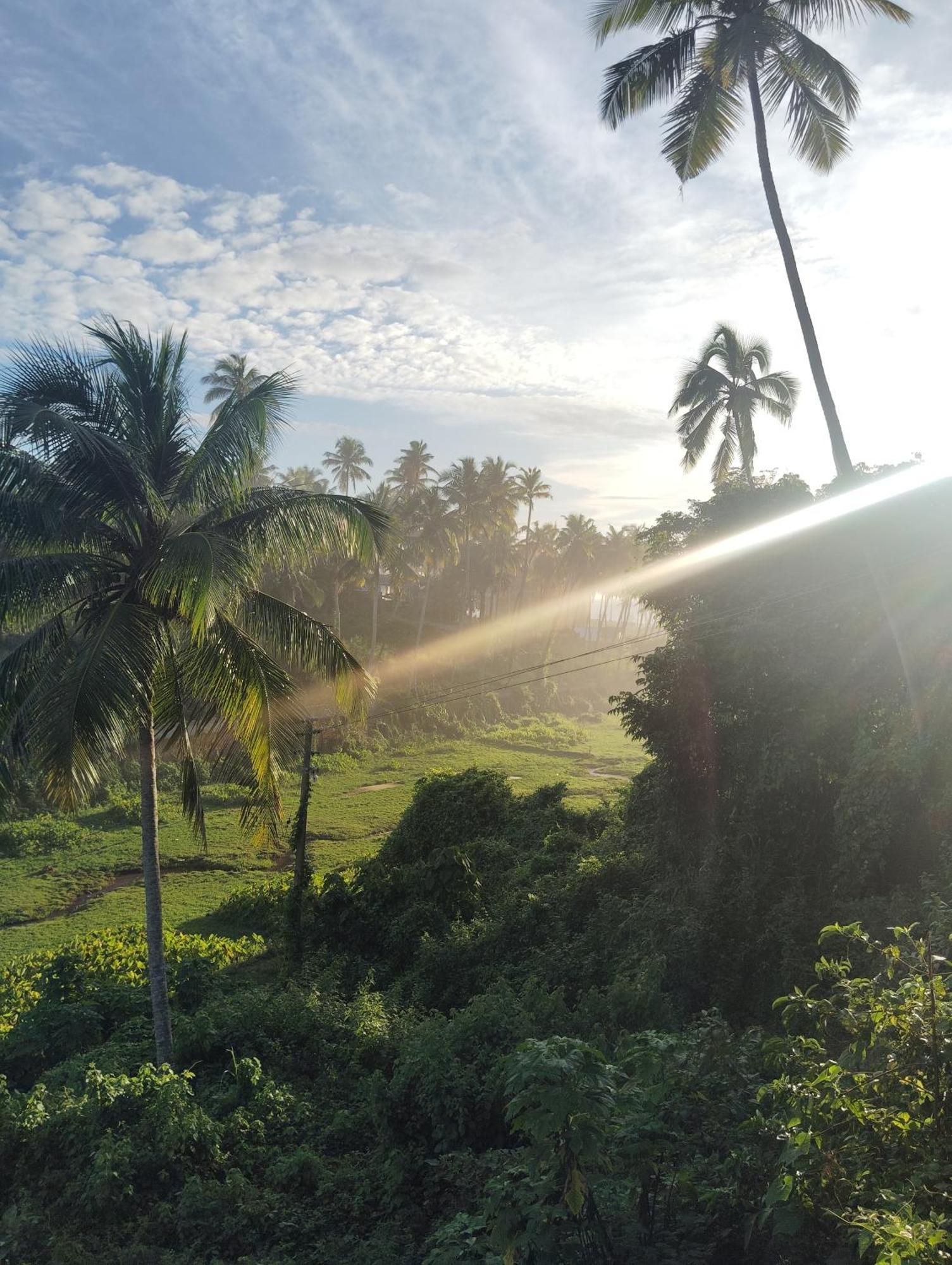 Joseph Dale Homestay Варкала Экстерьер фото